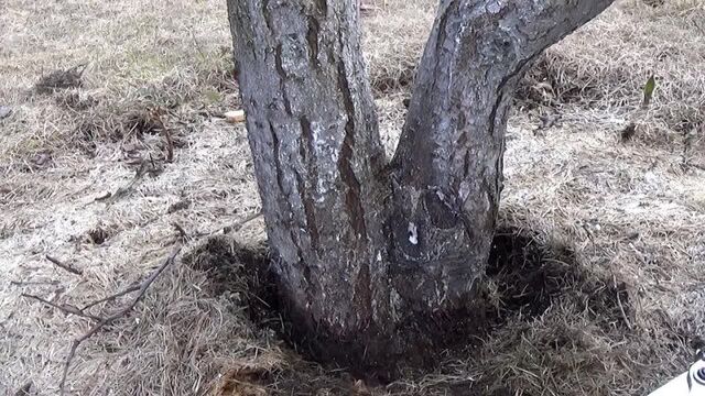 Видео порнуха #89946