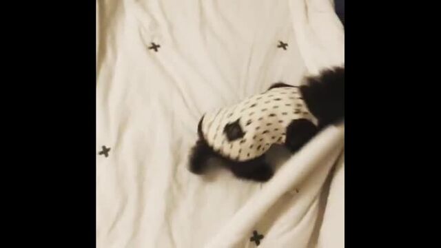 Видео порнуха #42917