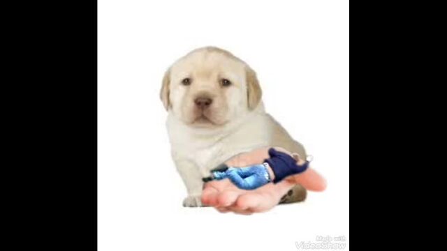 Видео порнуха #43944