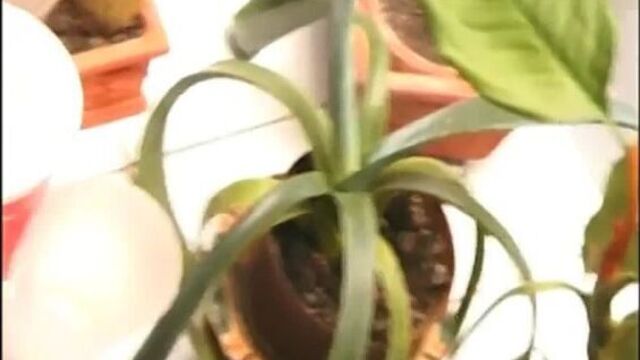 Видео порнуха #228376