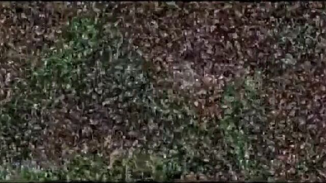 Видео порнуха #236499