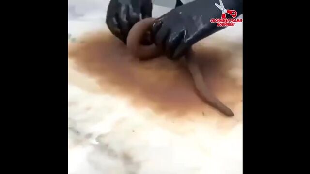 Видео порнуха #153901