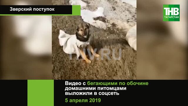 Видео порнуха #42312