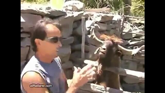 Видео порнуха #1612