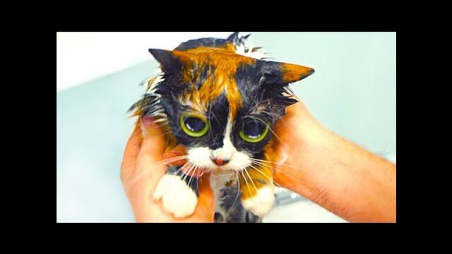 Видео порнуха #121498