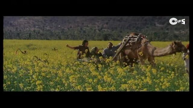 Видео порнуха #50679