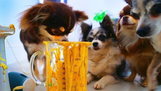 Видео порнуха #162915