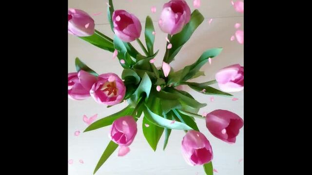 Видео порнуха #41534