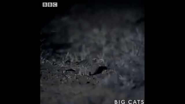 Видео порнуха #48336