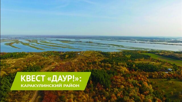 Видео порнуха #113049