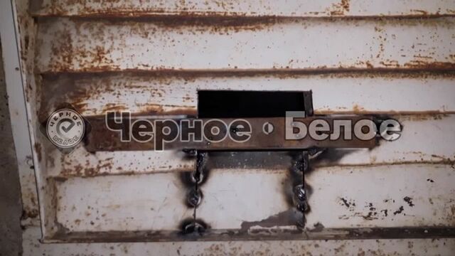 Видео порнуха #78770