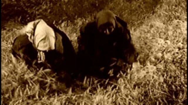 Видео порнуха #4554