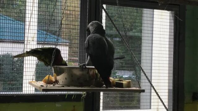 Видео порнуха #46734