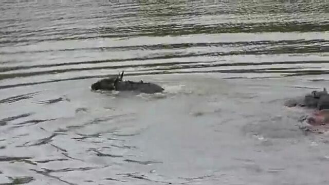 Видео порнуха #35027