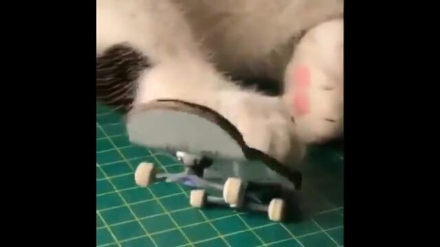 Видео порнуха #159314