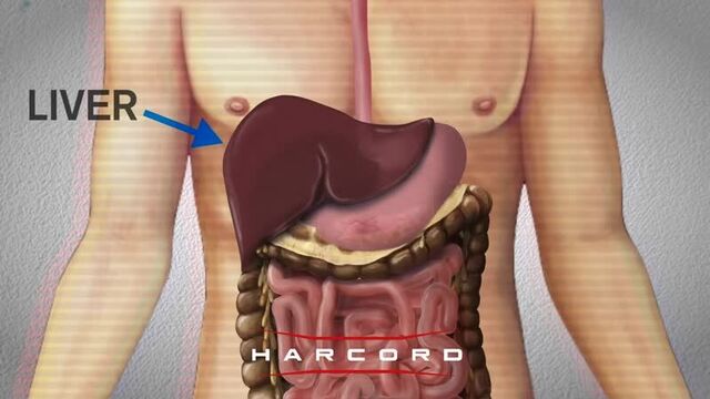 Видео порнуха #50957