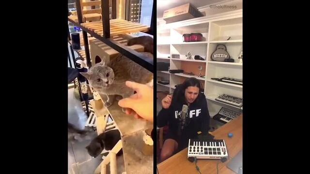 Видео порнуха #74209