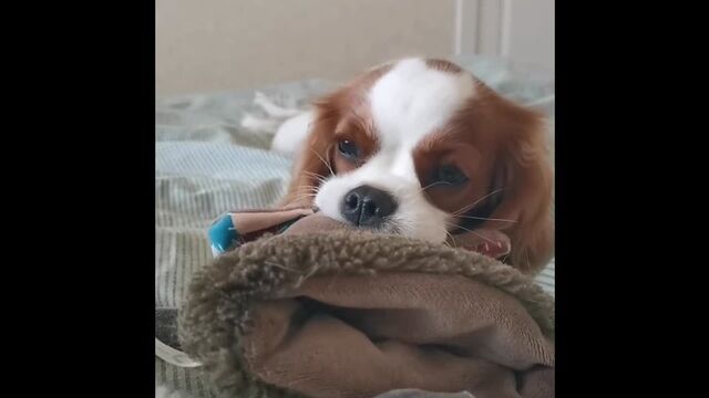 Видео порнуха #187566