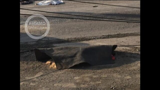 Видео порнуха #192688