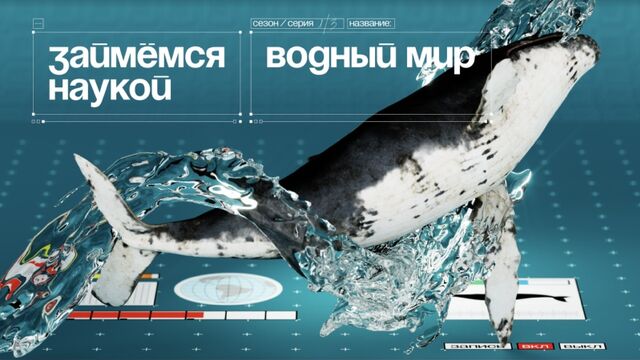 Видео порнуха #173388