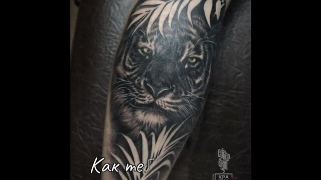 Видео порнуха #182842