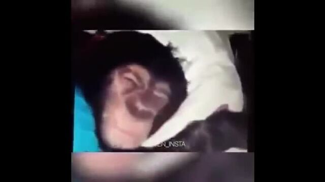 Видео порнуха #43501