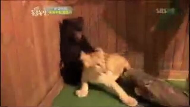 Видео порнуха #5710