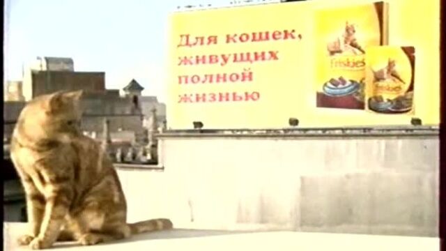 Видео порнуха #43809