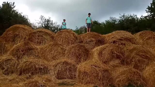 Видео порнуха #61464