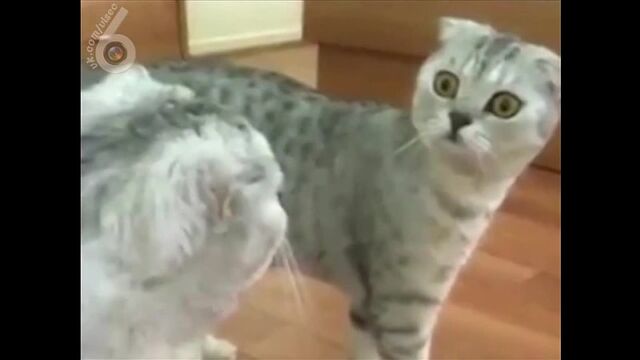 Видео порнуха #11149