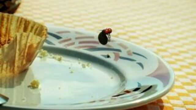 Видео порнуха #4491