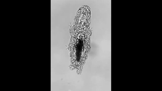 Видео порнуха #46000