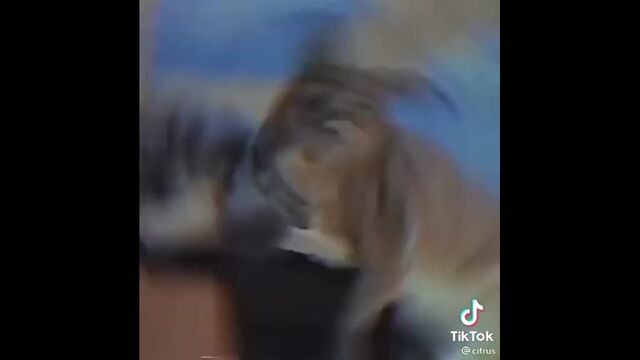 Видео порнуха #68201