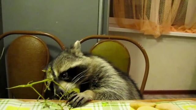 Видео порнуха #16843