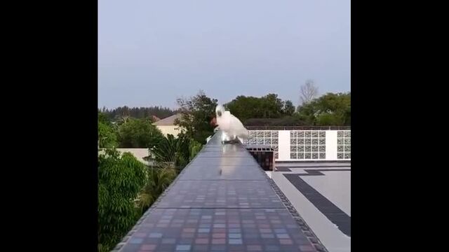 Видео порнуха #67157