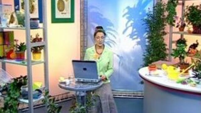 Видео порнуха #1219