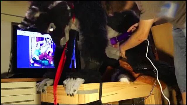 Видео порнуха #6984