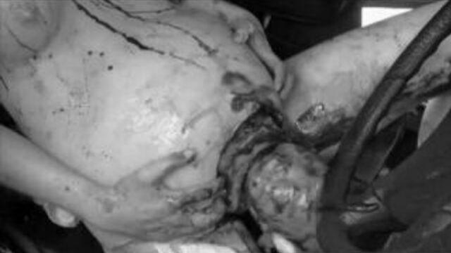 Видео порнуха #246630