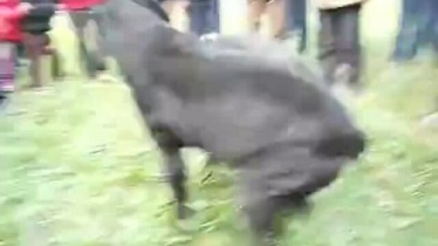 Видео порнуха #153971