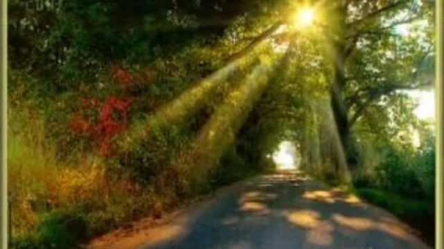 Видео порнуха #11378