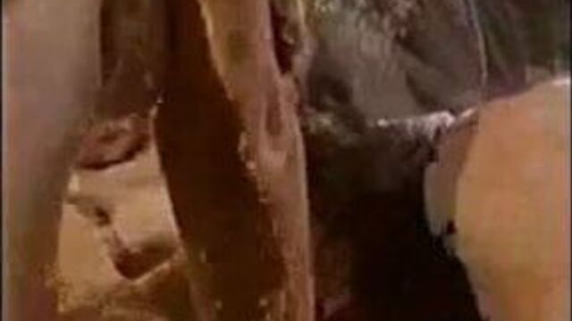 Видео порнуха #1876