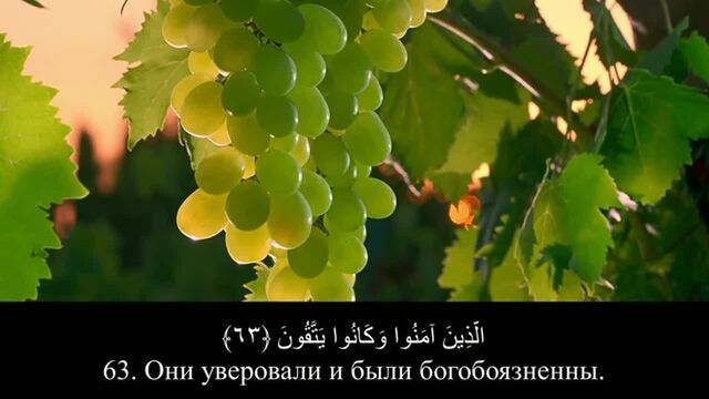 Видео порнуха #124482