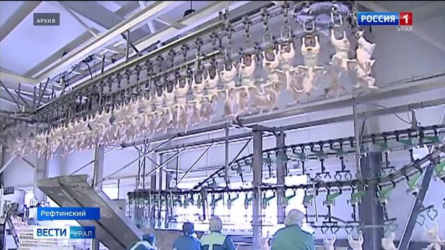 Видео порнуха #79145