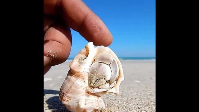 Видео порнуха #89124