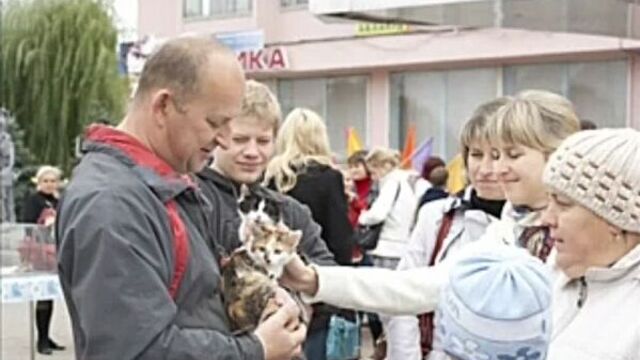 Видео порнуха #1752