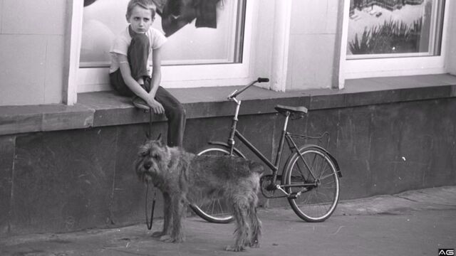 Видео порнуха #144174