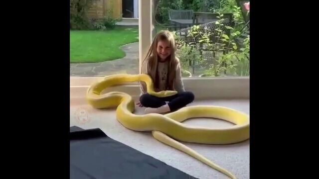 Видео порнуха #136691