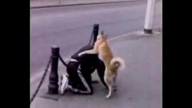 Видео порнуха #607