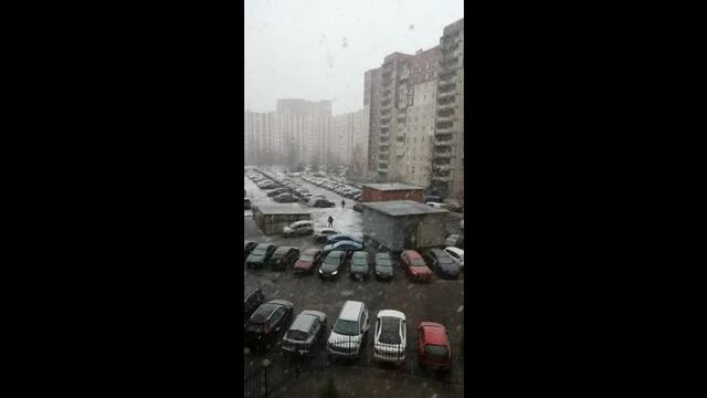 Видео порнуха #50390