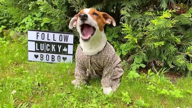 Видео порнуха #79257